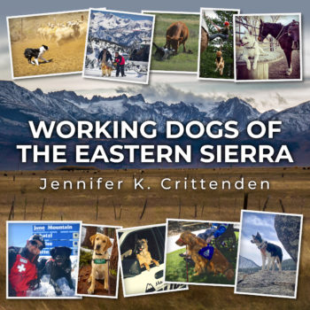 Working Dogs of the Eastern Sierra